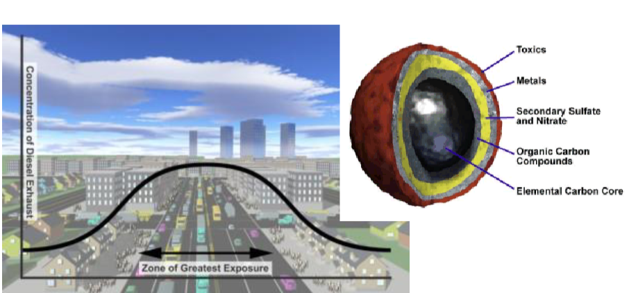 <p>Complex; toxicants </p><ul><li><p>Exposed to all compounds stuck to exterior </p></li></ul><p></p>