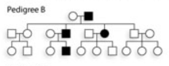 <ul><li><p>Gene is on autosomes, and one copy is enough to show the trait.</p></li><li><p>Affects males and females equally</p></li><li><p>Appears in every generation</p></li><li><p>No carriers (heterozygotes are affected)</p></li><li><p>Affected parent → ~50% of children affected</p></li><li><p>Genotypes:</p><ul><li><p>AA or Aa → affected</p></li><li><p>aa → normal</p></li></ul></li></ul><p></p>