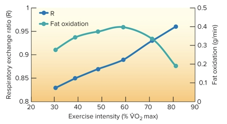 <p>What exercise intensity is best for burning fat?</p>