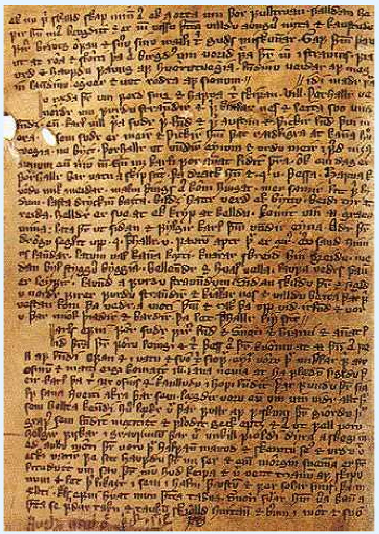 <p>Icelandic saga</p>