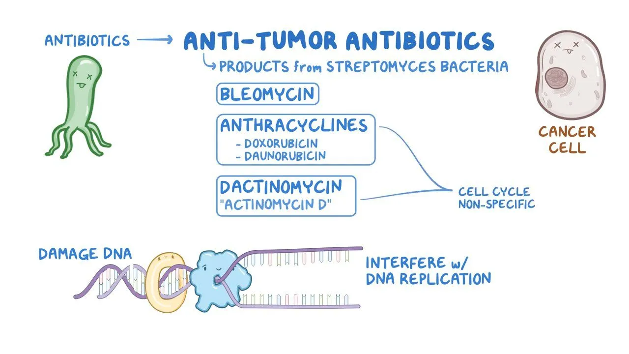 <p>cytotoxic agent category: anti-tumor antibiotics </p>
