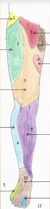<p>5</p>