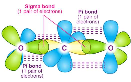 <p>[FORCES OF ATTRACTION]<br>Spherical shape:</p><p>a. Sigma bond</p><p>b. Stronger bond formed</p><p>c. Headways overlap</p><p>d. a and b</p><p>e. b and c</p><p>f. All</p>
