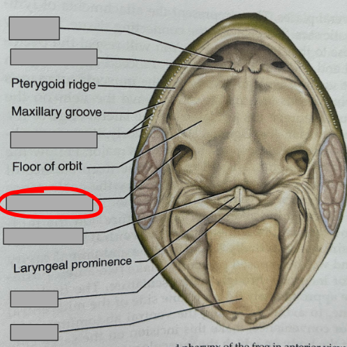 <p>What part of the organism is this?</p>