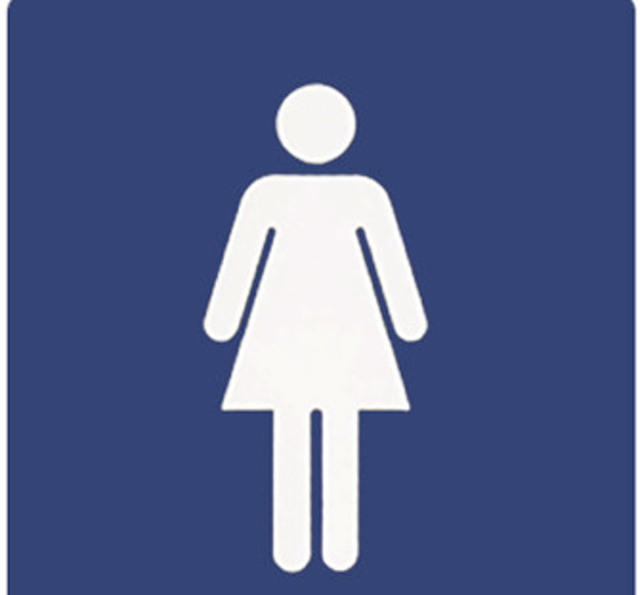<p>the woman</p>