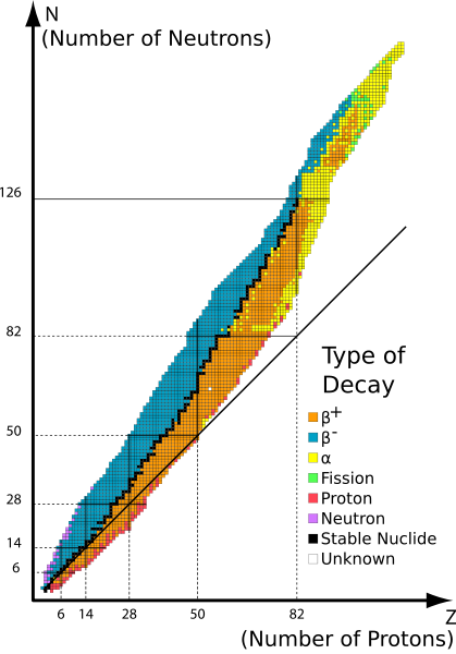 <p>Reflects proton to neutron ratio in stable atomic nuclei</p>