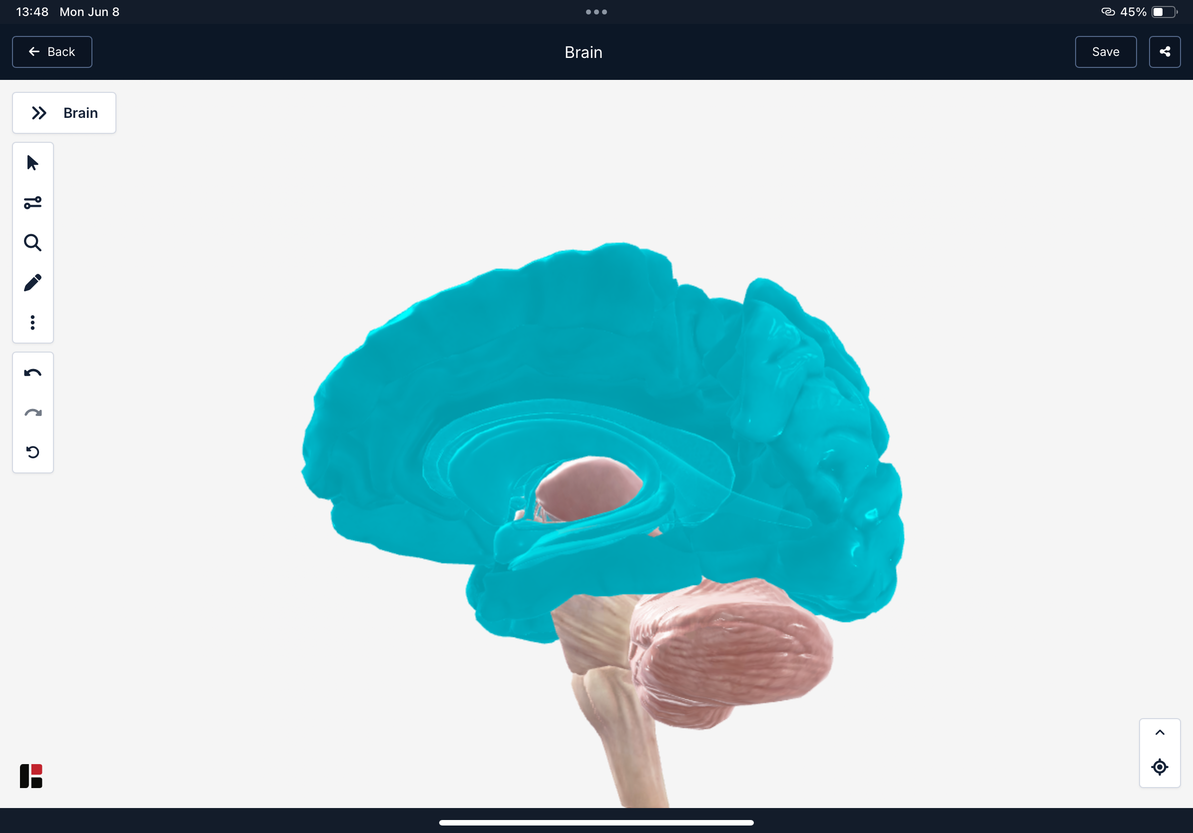 <p>what part of the brain is this</p>