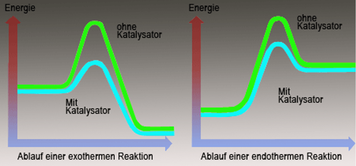 <p><span>Katalysatoren</span></p>