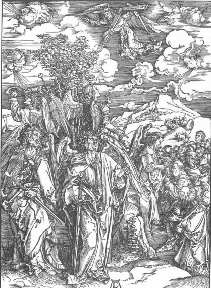 term image