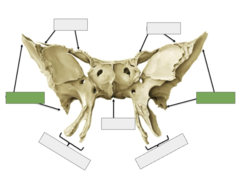 <p>This is the</p>