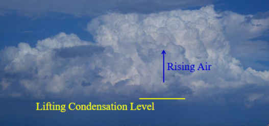 <ul><li><p>Surface warms, heats air masses, which rise</p></li><li><p>Convective Storms- Strong surface heating + Unstable atmosphere = Storm</p><ul><li><p>Can be a single cell or cluster, can produce thunder / lightning</p></li><li><p>Vertical movement caused by surface heating</p></li><li><p>Stages:</p><ol><li><p>Moist air rises, cool, condenses, releases latent heat</p></li><li><p>Heavy rain produce downdrifts</p></li><li><p>Downdrifts weaken and then suppress updraft</p></li></ol></li></ul></li></ul><p></p>