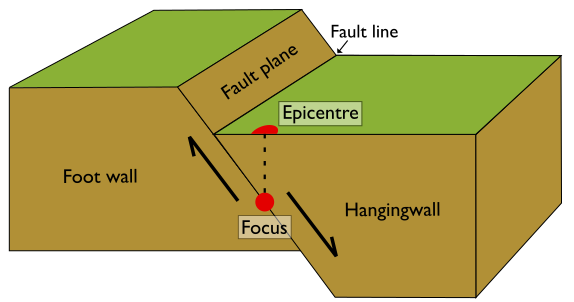 <p>Where the fault plane meets the Earth’s surface</p>