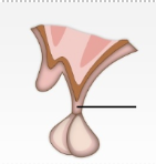 <p><span style="line-height: 17.375px;">Identify&nbsp;</span></p>