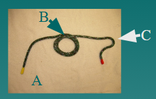 <p>what is B (Large Animal Knots and Ropes)</p>