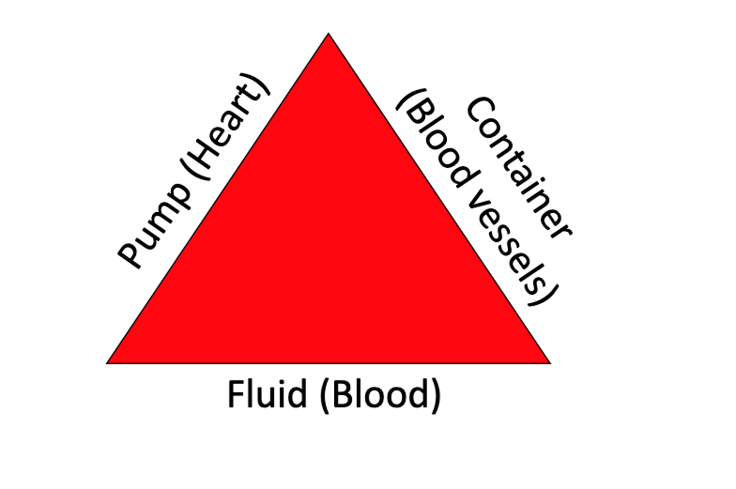 <p>The heart (the pump)</p><p>The pipes (blood vessels or arteries)</p><p>The contents of container (blood)</p><p>When a person is in shock one or more of these will not work properly.</p>