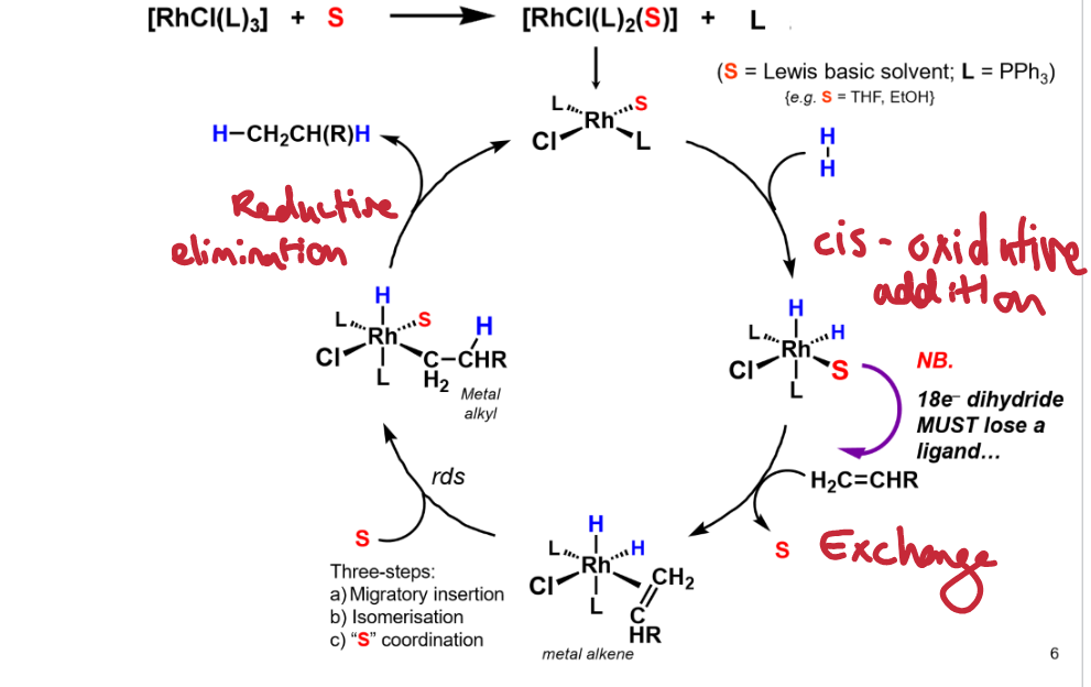 <p><br></p><p>Step 1: cis oxidative addition.</p><p>Step 2: ligand exchange</p><p>Step 3: migratory insertion, isomerisation, S coordination.</p><p>Step 4: reductive elimination.</p><p>Done in the presence of a solvent to prevent dimerisation of catalyst</p><img src="https://ukc-onenote.officeapps.live.com/o/GetImage.ashx?&WOPIsrc=https%3A%2F%2Fdurhamuniversity%2Dmy%2Esharepoint%2Ecom%2Fpersonal%2Flmjn26%5Fdurham%5Fac%5Fuk%2F%5Fvti%5Fbin%2Fwopi%2Eashx%2Ffiles%2Fa2d6fa86f7a24447b3ec2b373af543e9&access_token=eyJhbGciOiJSUzI1NiIsImtpZCI6IkNGOERFQkUxNjc4MTRCNDQ4RjMyQzZBQzEzQ0E3Q0IxQ0Y0Rjc0REEiLCJ0eXAiOiJKV1QiLCJ4NXQiOiJ6NDNyNFdlQlMwU1BNc2FzRThwOHNjOVBkTm8ifQ%2EeyJuYW1laWQiOiIwIy5mfG1lbWJlcnNoaXB8bG1qbjI2QGR1cmhhbS5hYy51ayIsIm5paSI6Im1pY3Jvc29mdC5zaGFyZXBvaW50IiwiaXN1c2VyIjoidHJ1ZSIsImNhY2hla2V5IjoiMGguZnxtZW1iZXJzaGlwfDEwMDMyMDAyZGMwNDcwYWNAbGl2ZS5jb20iLCJzaGFyaW5naWQiOiJjNDdhMGYyOS0xNDcxLTRkZDItYWI0Ni0yZWY5MjJhM2Q3OGMiLCJzaWduaW5fc3RhdGUiOiJbXCJrbXNpXCJdIiwidXRpIjoiTXloNGkyT0lZRWk5TVR2X0NYNHhBQSIsInhtc19jYyI6IltcIkNQMVwiXSIsInhtc19zc20iOiIxIiwib2lkIjoiYjJlY2JiMzMtYjM2OC00Zjk1LWI4ZmEtZTJiOGYyMjIzMjE0IiwiaXNsb29wYmFjayI6IlRydWUiLCJhcHBjdHgiOiJhMmQ2ZmE4NmY3YTI0NDQ3YjNlYzJiMzczYWY1NDNlOTtlVCtCTkdtUXA1emYxQkhMNU9PQm5MQld3ZkU9O0RlZmF1bHQ7OzdGRkZGRkZGRkZGQkZGRkY7VHJ1ZTs7OzE4NTE5NzI7MmY3ODBjYTItYTA0Ny0wMDAxLWIwZjAtMTQ3MjY4MTA2NDE0IiwiZmlkIjoiMTg5OTg1IiwiaXNzIjoiMDAwMDAwMDMtMDAwMC0wZmYxLWNlMDAtMDAwMDAwMDAwMDAwQDkwMTQwMTIyLTg1MTYtMTFlMS04ZWZmLTQ5MzA0OTI0MDE5YiIsImF1ZCI6IndvcGkvZHVyaGFtdW5pdmVyc2l0eS1teS5zaGFyZXBvaW50LmNvbUA3MjUwZDg4Yi00YjY4LTQ1MjktYmU0NC1kNTlhMmQ4YTZmOTQiLCJuYmYiOiIxNzc2ODYzODEyIiwiZXhwIjoiMTc3Njg5OTgxMiJ9%2EiIW30XaShxCR8fUAu%5FW%2DLuPz%5FGT3vV%5FCtS3ripI0iHfl73tpT7lJBQdOTr3wJPdEptJsJqVClDjmOuo990O6jduwXcKp%2DaIdI5kRair6ohdfOW1E%5FTSlDTvpfCBSldAOyFM5JqcHNStvTYVuakccWoibfvvCHKsdW1XAJa5L0DSUDki3RQaXsuhYR4U%2DSbHSqzVgUq5oXa53KDpl8XjoJcDPdTn%5FBgsLqlUFkxKZuPzC4za69nArM14Ef0I%5FUPp3HvL1soCEJ7B7r%2DllLmo1L5y5fl8t1ucVUVfJCz9ARuiG4GexUFmaV9OFLFcEuThCoWC7E7umO8Xenrg%5FAJJiXw&access_token_ttl=1776899812807&ObjectDataBlobId=%7B4e43600b-9942-41c7-bb5f-1651f8da671b%7D%7B1%7D&usid=7c4fa128-41cc-874d-bff5-43a10907924a&build=16.0.19930.41009&waccluster=GUK3&wdwacuseragent=MSWACONSync" data-width="100%" data-align="center" alt=""><p></p>