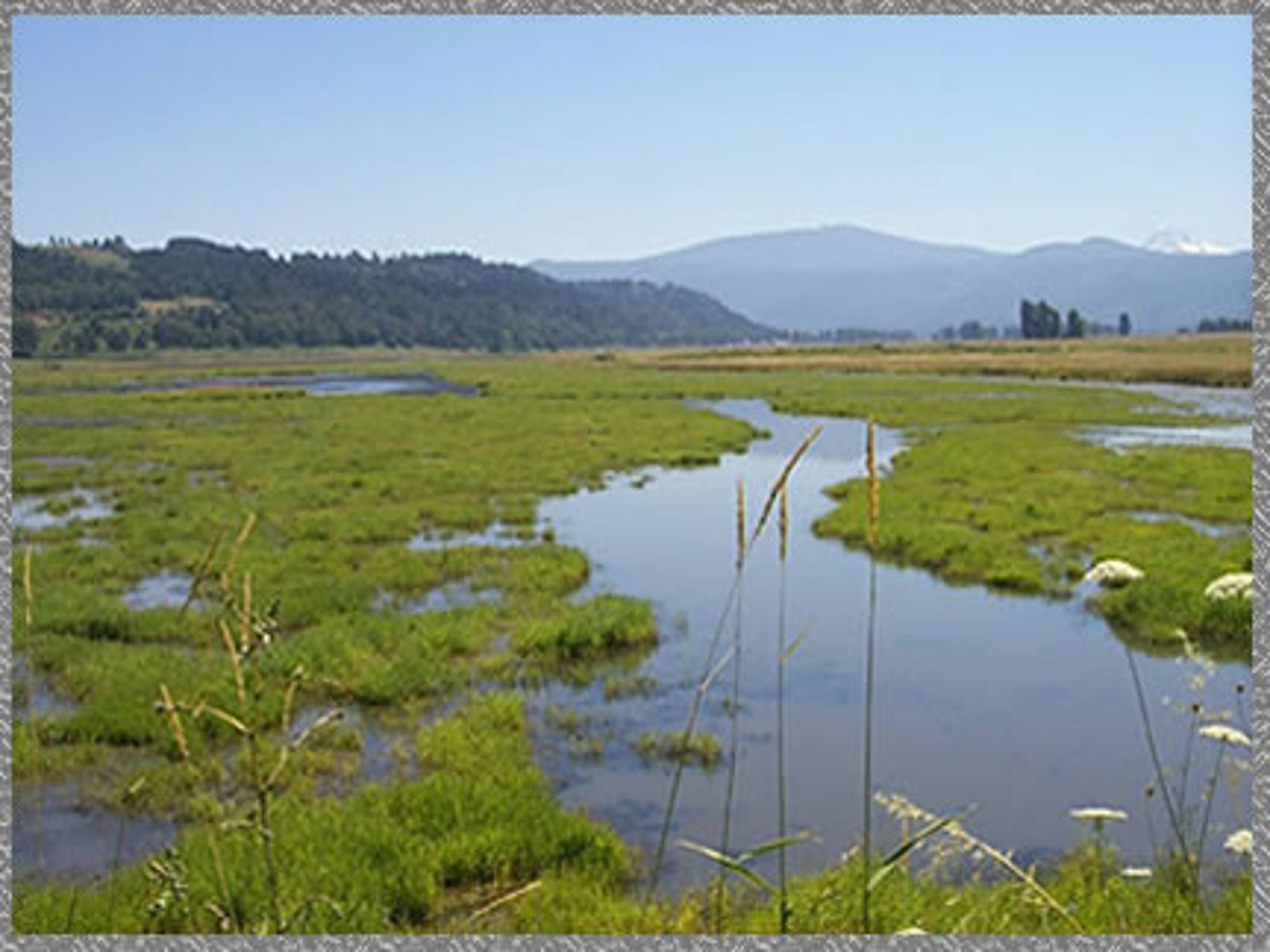 <p>TRANSLATION: охранные зоны</p><p>DEFINITION: protected areas where nature and wildlife are preserved</p><p>EXAMPLE: Governments create ........................ to keep endangered animals safe. Правительства создают ОХРАННЫЕ ЗОНЫ, чтобы обезопасить вымирающих животных.</p>