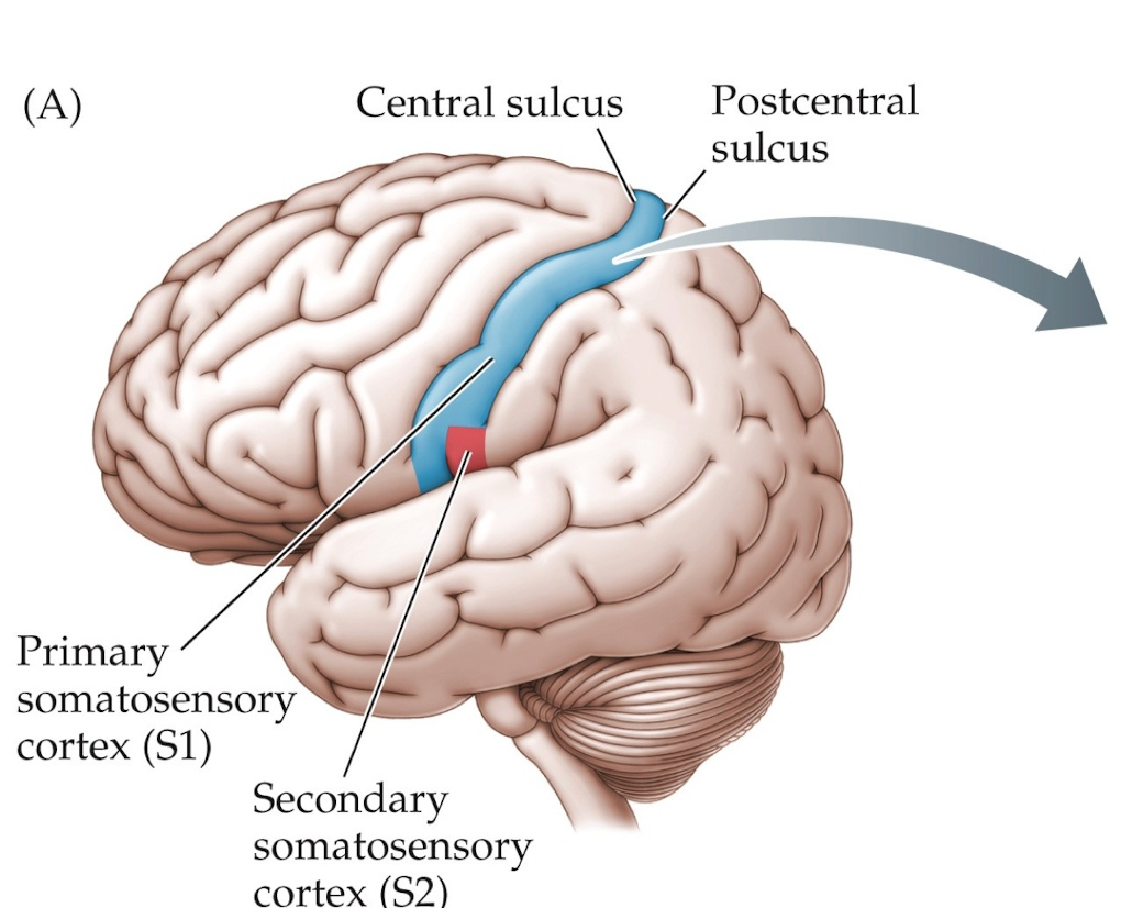 <p>What can you see here?</p>