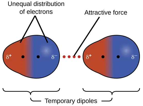 <p><span>Why are London dispersion forces present in all atoms and molecules?</span></p><p><br>A. Because covalent bonds always produce strong intermolecular attractions</p><p>B. Because all atoms and molecules have permanent dipoles</p><p>C. Because London dispersion forces require charged ions</p><p>D. <span>Because electrons are in constant motion, creating temporary dipoles</span></p>