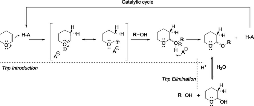 <ol><li><p>protonation activates the double bond</p></li><li><p>this creates an oxocarbenium ion stabilized by oxygen</p></li><li><p>the alcohol attacks at the electrophilic carbon</p></li><li><p>deprotonation gives the THP protected alcohol</p></li></ol><p></p>
