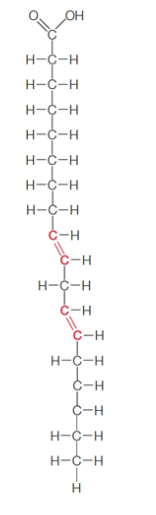 <p>double bond, can be bent, liquid at room temperature. </p>