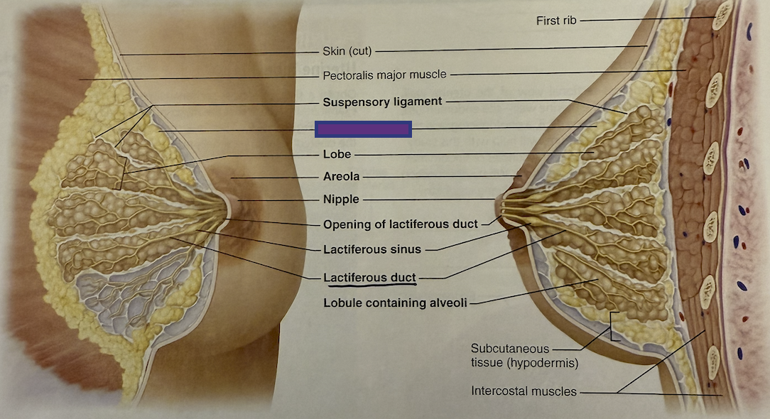 <p>What is this?</p>