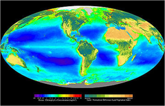 <p>Focus - Influence of energy and materials on organisms across the world</p><p>Unit - Biosphere (All the planet's ecosystems and landscapes)</p><p>Ex: The effects of a volcanic eruption in Hawaii on other regions</p>