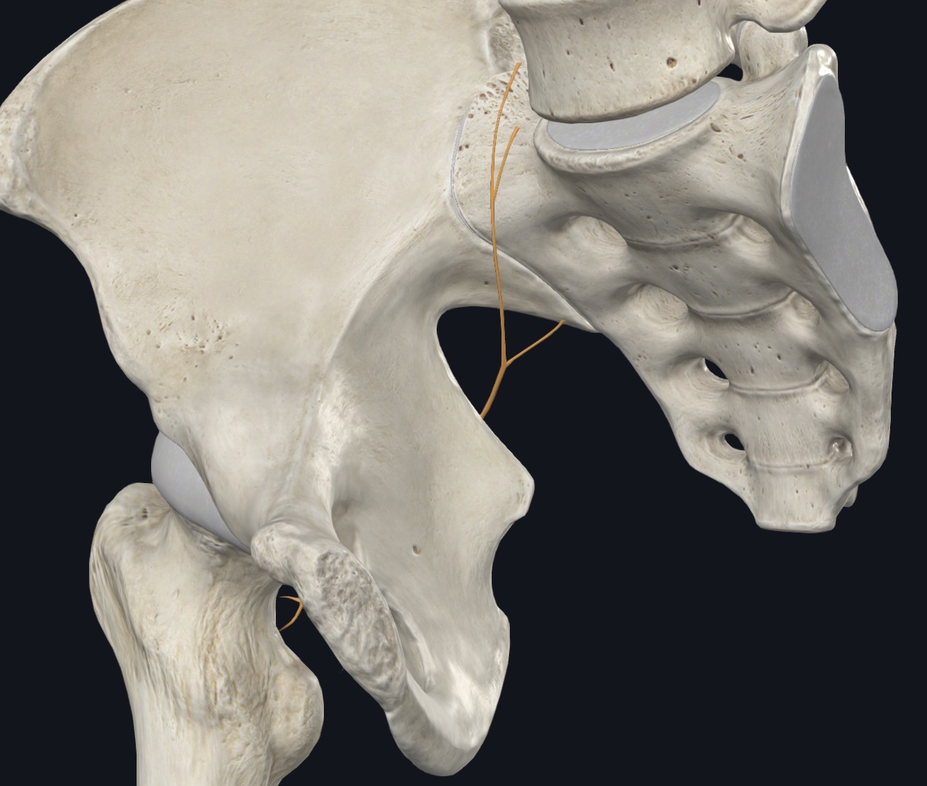 <p>¿Qué es esto?</p>