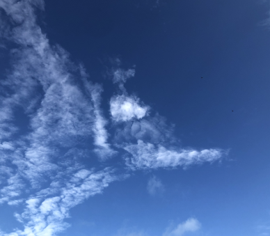 <p>Sky blue</p>
