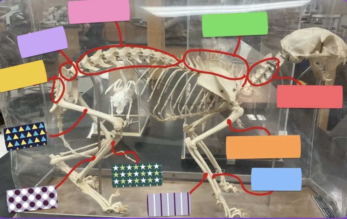 <p>What does the red box represent?</p>