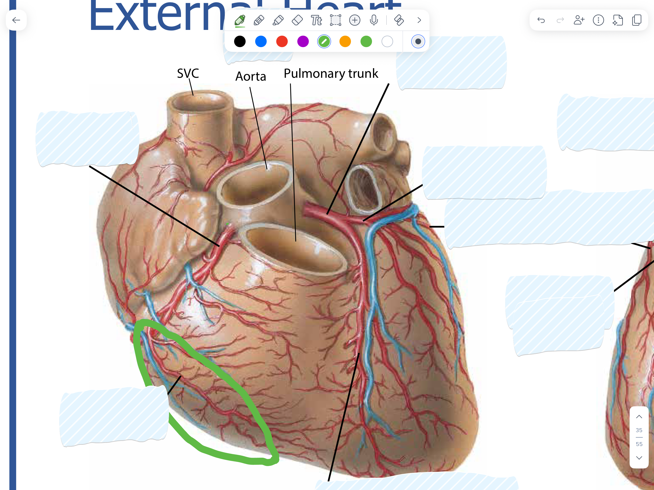 knowt flashcard image