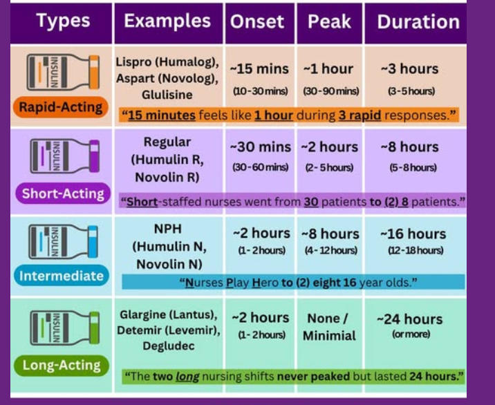 <p>insulin:</p><p><strong>put meds in categories:</strong></p><ul><li><p>insulin detemir</p></li><li><p>insulin aspart</p></li><li><p>regular insulin</p></li><li><p>insulin degludec</p></li><li><p>insulin glulisine</p></li><li><p>NPH insulin</p></li><li><p>insulin lispro (Humalog)</p></li><li><p>insulin glargine U-100</p></li></ul><p><strong>Type: Onset (min), Peak (hr), Duration (hr)</strong></p><ul><li><p>rapid acting <strong>(3)</strong></p></li><li><p>short acting</p></li><li><p>intermediate acting</p></li><li><p>long acting<strong> (2)</strong></p></li><li><p>ultra long acting</p></li></ul><p></p>