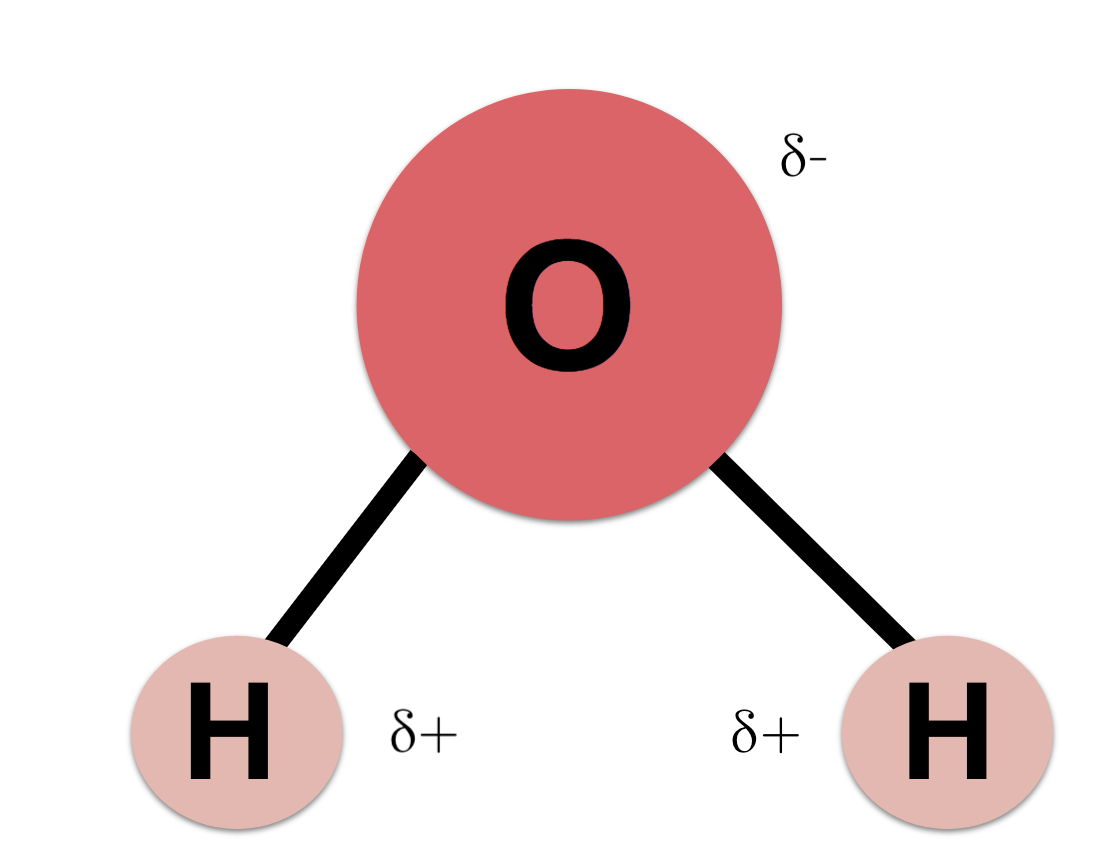 <p>Formed when atoms bond together</p><ul><li><p>a chemical structure made of two or more atoms held together by covalent or ionic bonds</p></li></ul><p></p>