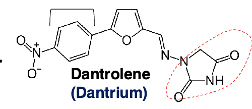 <ul><li><p>directly acting skeletal muscle relaxant</p></li><li><p><strong>hydrantoin derivative</strong>→ without antiepileptic activity</p></li><li><p>lessens excitation-contraction coupling in muscle cells by <strong>binding to ryanodine receptor</strong> as an antagonist and i<strong>nhibiting Ca efflux</strong> into cytoplasm from sacoplasmic reticulum</p></li></ul><p></p>
