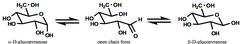 <p>OH on penultimate carbon attacks anomeric carbon</p><p>alpha anomer- OH on anomeric carbon is down</p><p>beta anomer- OH on anomeric carbon is up</p><p>these are epimers</p>