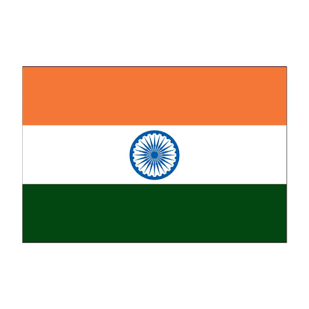 <p>Indian</p>
