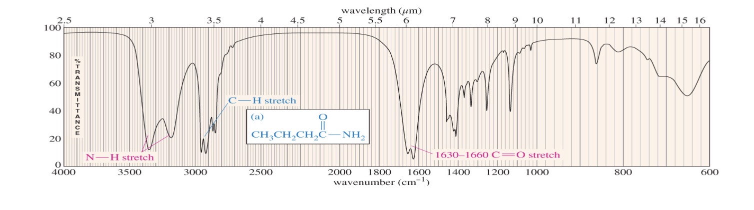 <p>Primary amide 2 N-H stretches</p>