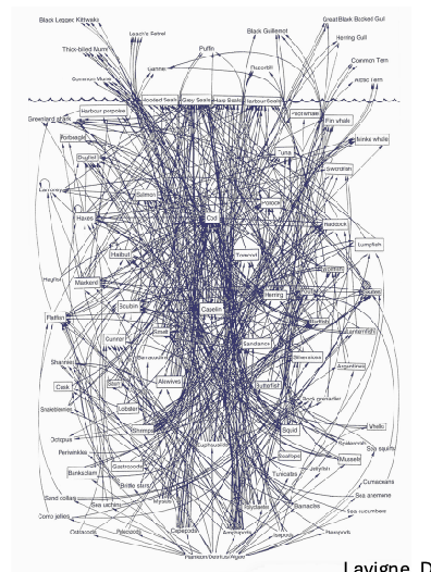 <p>In nature, organisms may consume many different PRODUCERS and CONSUMERS, and trophic positions are often not whole numbers </p>