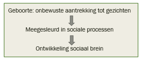 <p>Ontwikkeling van het individu (ontogenese) volgt de evolutionaire ontwikkeling van de soort (fylogenese</p><ul><li><p>als je wil zien hoe individu ontwikkelt, kijken naar hoe het evolutionair ontwikkelt</p></li></ul><p></p>