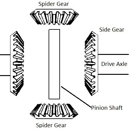 <p>side gears </p>
