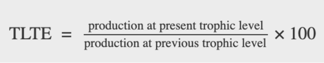<p>Varies across ecosystems, typically ~10%</p><ul><li><p>Formula = (production at present trophic level / production at previous trophic level) x 100</p></li></ul><p></p>