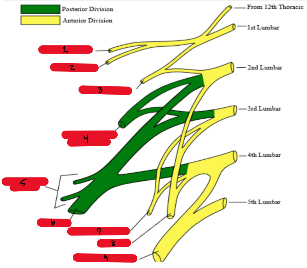 <p>4</p>
