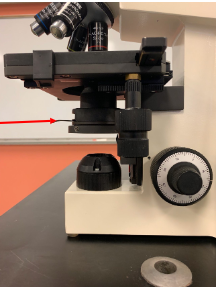 <p>name this part of the microscope + Function</p>