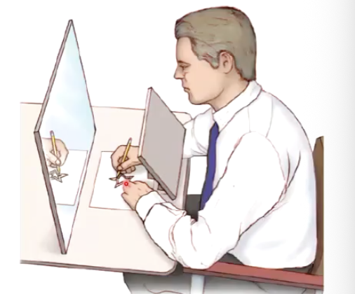 <ul><li><p class="Paragraph SCXO28179565 BCX0" style="text-align: left;"><span style="background-color: inherit; line-height: 19.55px; color: windowtext;">Implicit memory&nbsp;</span><span style="line-height: 19.55px; color: windowtext;">&nbsp;</span></p></li><li><p class="Paragraph SCXO28179565 BCX0" style="text-align: left;"><span style="background-color: inherit; line-height: 19.55px; color: windowtext;">Trace boundaries of a star without going outside the track</span><span style="line-height: 19.55px; color: windowtext;">&nbsp;</span></p></li><li><p class="Paragraph SCXO28179565 BCX0" style="text-align: left;"><span style="background-color: inherit; line-height: 19.55px; color: windowtext;">Patient has to watch their hand in the mirror</span><span style="line-height: 19.55px; color: windowtext;">&nbsp;</span></p></li><li><p class="Paragraph SCXO28179565 BCX0" style="text-align: left;"><span style="background-color: inherit; line-height: 19.55px; color: windowtext;">Trace the pattern 10 times per day for 3 days</span><span style="line-height: 19.55px; color: windowtext;">&nbsp;</span></p></li><li><p class="Paragraph SCXO28179565 BCX0" style="text-align: left;"><span style="background-color: inherit; line-height: 19.55px; color: windowtext;">Reduction in the number of errors indicated H.M. retained something from the task</span><span style="line-height: 19.55px; color: windowtext;">&nbsp;</span></p></li><li><p class="Paragraph SCXO28179565 BCX0" style="text-align: left;"><span style="background-color: inherit; line-height: 19.55px; color: windowtext;">He did not have explicit memory of doing the task the previous day</span><span style="line-height: 19.55px; color: windowtext;">&nbsp;</span></p></li></ul><p></p>