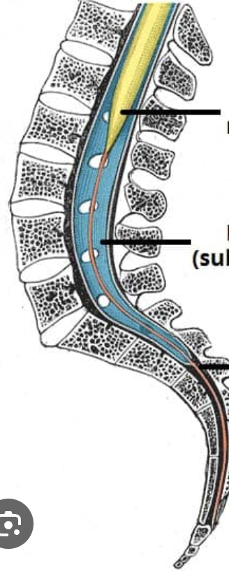 <p>tiny bottom arrow</p>
