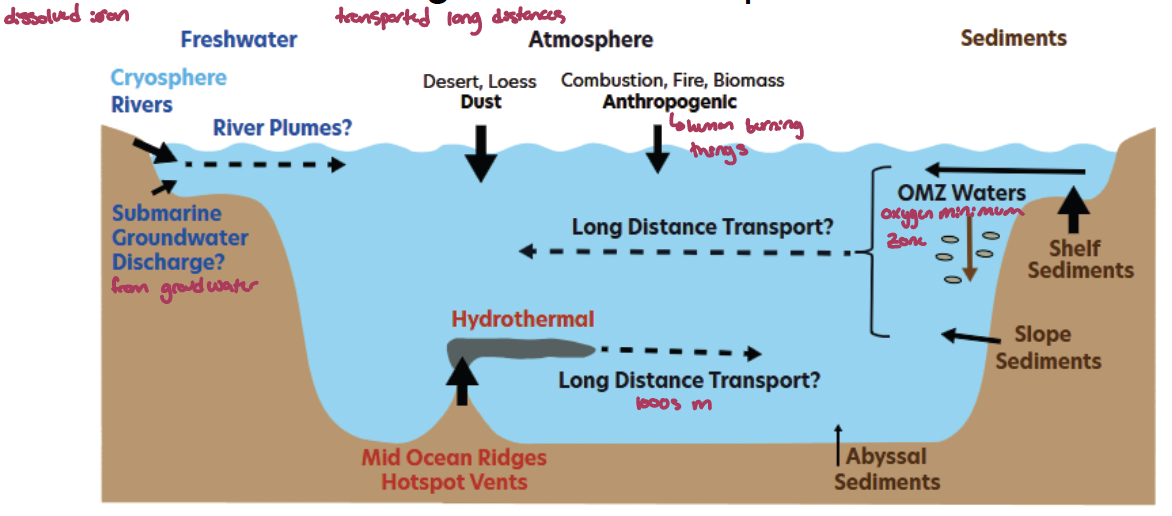 <p>dissolved iron: 0.2 or 0.4 μm pore size (p-nmol/kg) is the source phytoplankton use. <span style="line-height: normal;">Has 0.83 yr surface residence time with input from aeolian dust (↓25%), </span>reductive sediments (iron can settle in anoxic/hypoxic sediments), hydrothermal (come out of hydrothermal vents), rivers as sources. </p><p>First measured reliably 1980s; only 25 depth profiles worldwide by 2003 and dust considered most important. later GEOTRACES (2004-present; 35 countries) >16,000 obs. <span style="line-height: normal;">with </span>multiple dFe sources with long distance transport</p>