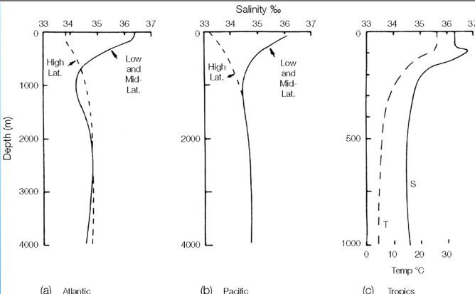 <p>No change in salinity </p>