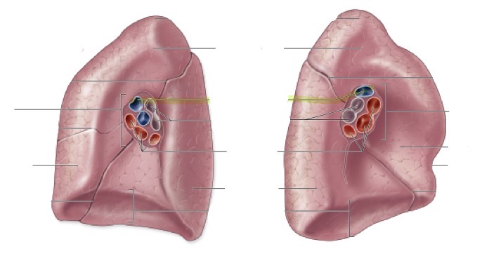 <p>what is this </p>