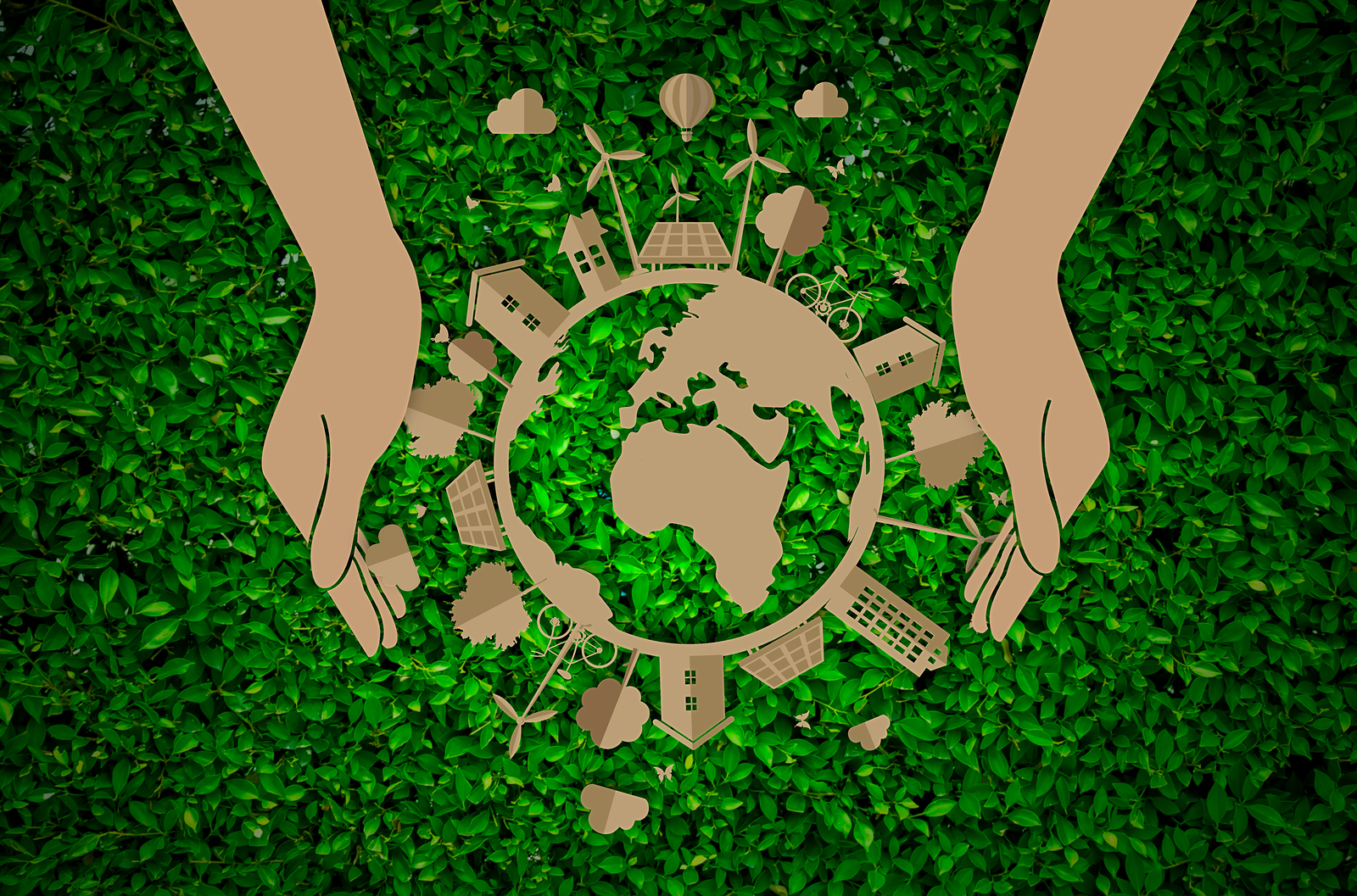 <p>ecology</p>