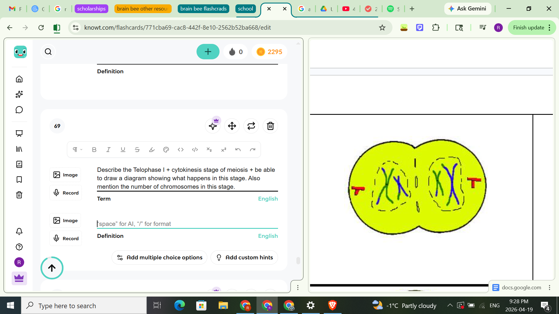 <ul><li><p><span style="background-color: transparent;">In meiosis one-homologous chromosomes separate process</span></p></li><li><p><span style="background-color: transparent;">The nuclear membrane re-forms around each cluster of chromosomes</span></p></li><li><p><span style="background-color: transparent;">At this stage, the chromosomes of each daughter cell are present in duplicate (as sister chromatids), although each cell is considered haploid</span></p></li><li><p><span style="background-color: transparent;">The cell must go thru a second division in order to have the correct number of chromosomes</span></p></li></ul><p><u>Chromosome number</u>:</p><ul><li><p>2 cells with 23 double chromosomes each- haploid after cytokinesis</p></li></ul><p></p>